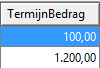 6. Termijnbedrag